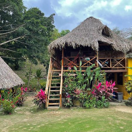 Guachaca Ecohostal Palmares Del Rio מראה חיצוני תמונה