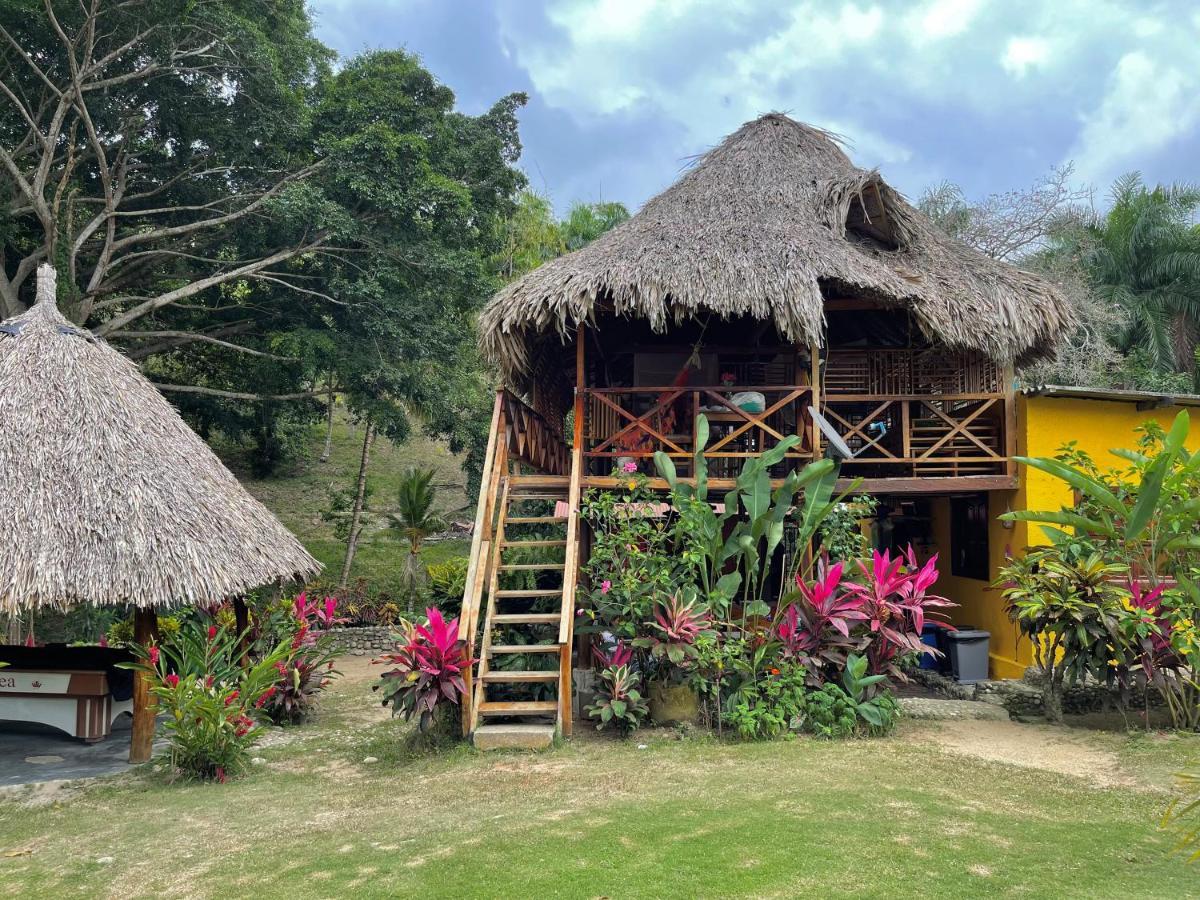 Guachaca Ecohostal Palmares Del Rio מראה חיצוני תמונה