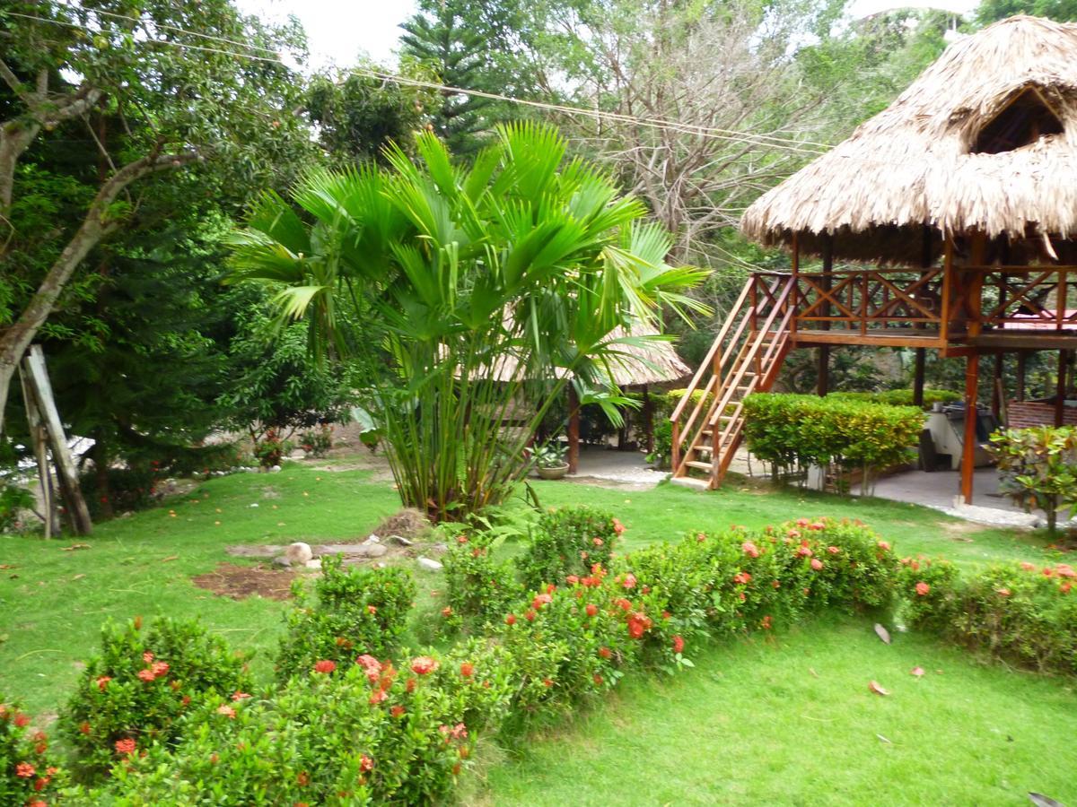Guachaca Ecohostal Palmares Del Rio מראה חיצוני תמונה