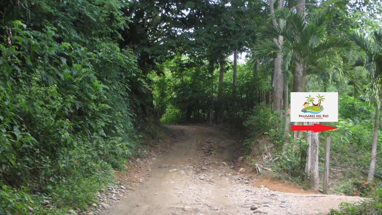 Guachaca Ecohostal Palmares Del Rio מראה חיצוני תמונה