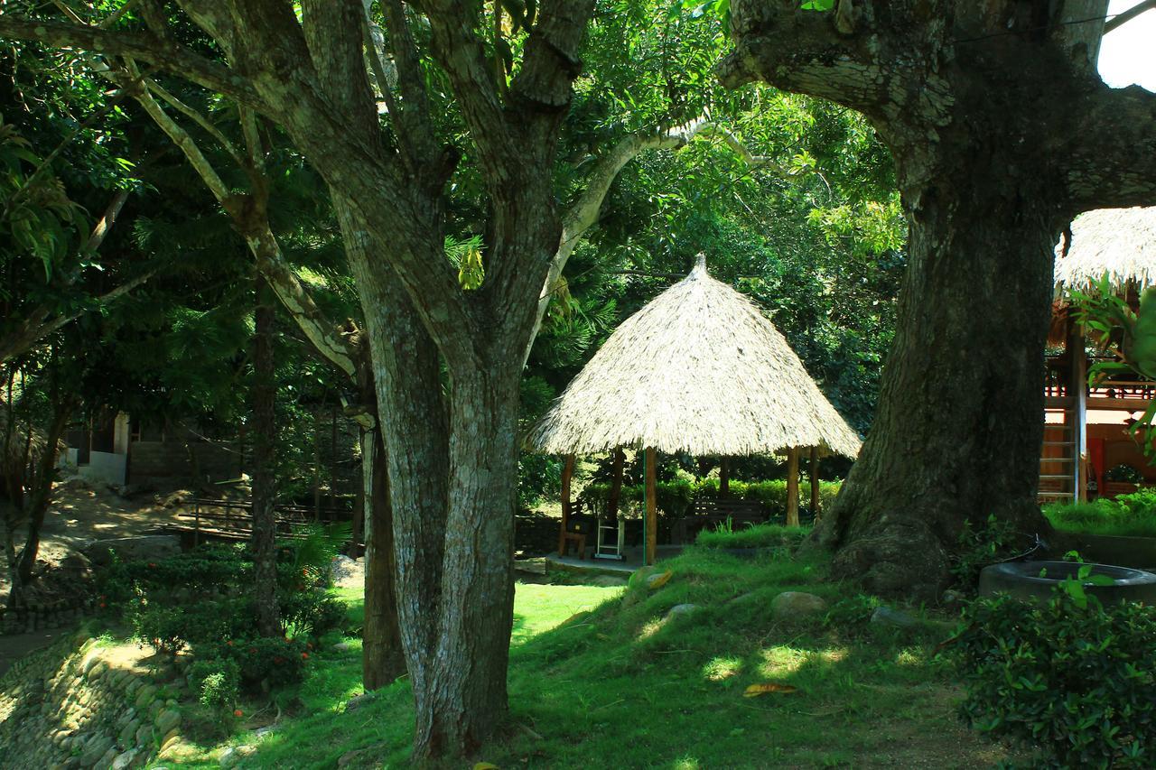 Guachaca Ecohostal Palmares Del Rio מראה חיצוני תמונה